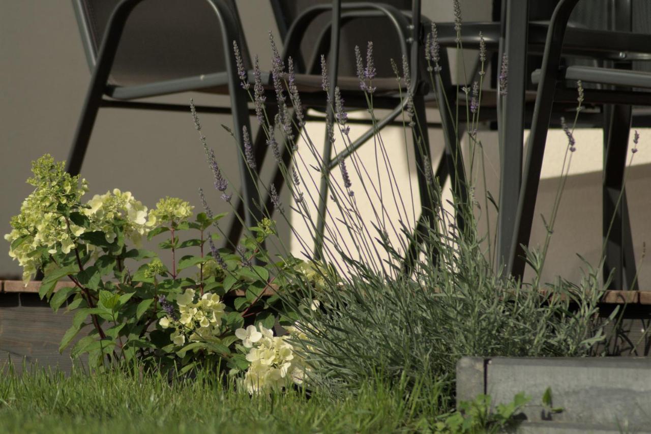 Villa Zefir Domki Nad Morzem I Jeziorem à Jezierzany Extérieur photo